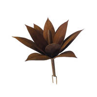 Foxtail Agave Sculpture Small