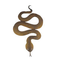 Snake Garden Art 