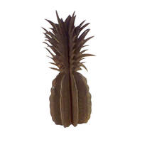 Pineapple Garden Art Medium