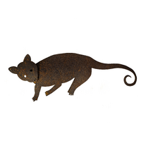 Ringtail Possum Garden Art