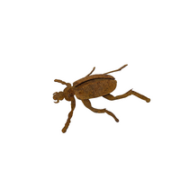 Large Beetle One Garden Art