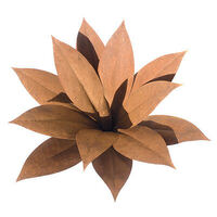 Foxtail Agave Sculpture